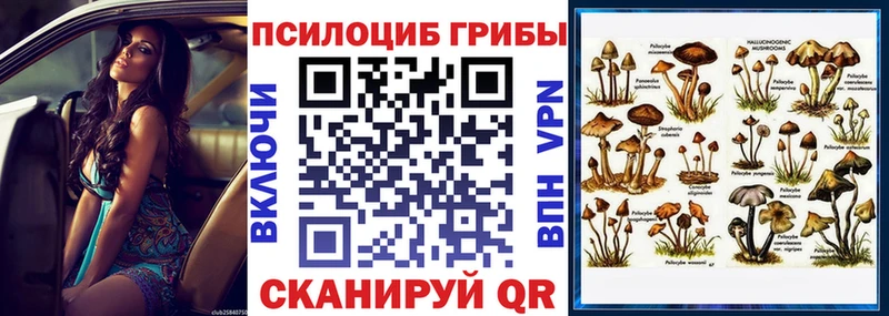 гидра ССЫЛКА  Орехово-Зуево  Псилоцибиновые грибы GOLDEN TEACHER 